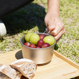 BM-540 Titanium Sierra Cup REST Deep 250 (with memory)