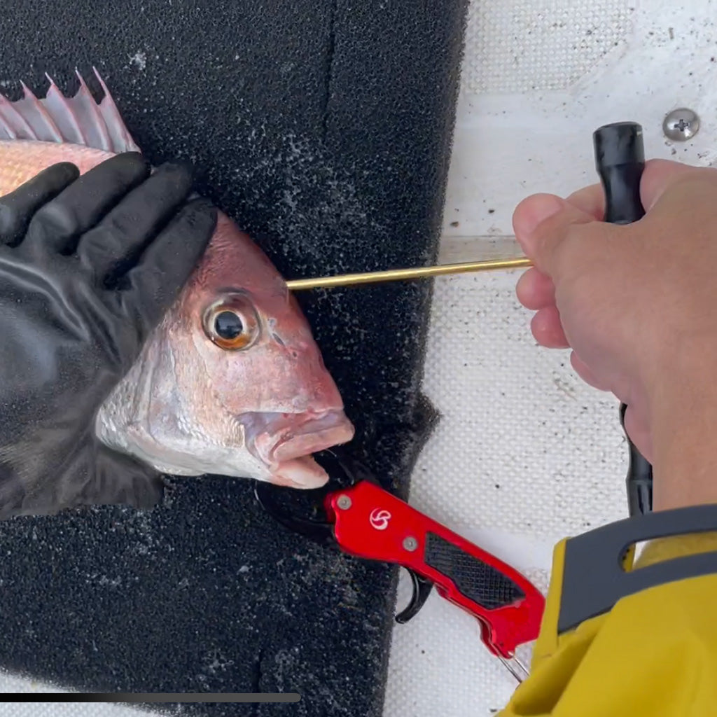 MP-167 FISH PICK 一撃 MG（ブラック） – ベルモント オンライン