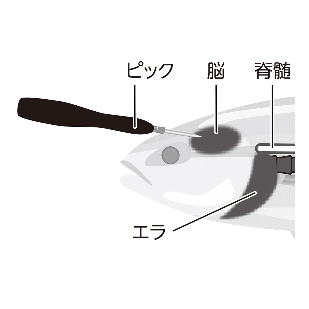 MP-218 活け締めピック ロング – ベルモント オンライン ショップ