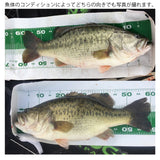 MR-027 Nanago Scale