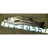MR-036 Fishing Measure "Type 1"