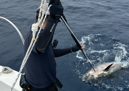 NEW Fishing Gear 2026