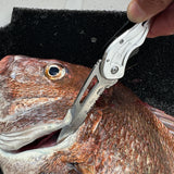 MP-177 Fishing Folding Knife [SV]