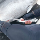 MP-286 Folding Kama Tuna Knife RD