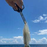 MP-324 イカ絞めシザーズ