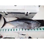 MR-031 Fishing Measure "Type 2"