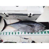 MR-031 Fishing Measure "Type 2"